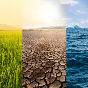 Climate Risk Assessment and Forecasting