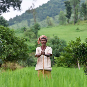 climate – resilient agriculture planning