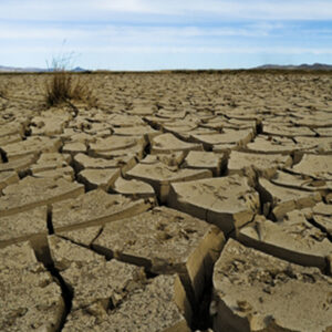 Climate Risk Assessment and Forecasting