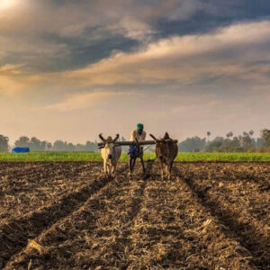 climate – resilient agriculture planning