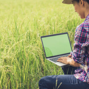 Sustainable soil and crop management analytics