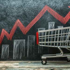 TECHNO-SOCIAL-ECONOMIC IMPACT ANALYSIS FOR PROJECTS AND POLICIES