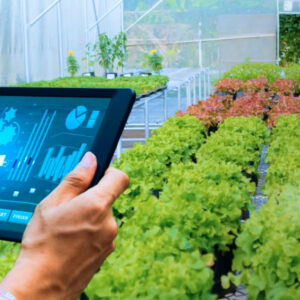 Smart greenhouse monitoring Systems