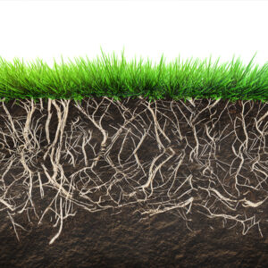 Sustainable soil and crop management analytics