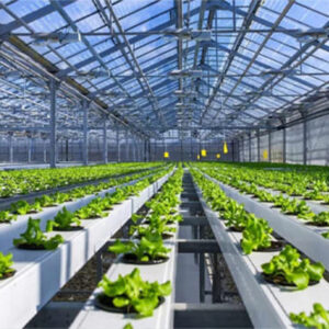 Smart greenhouse monitoring Systems