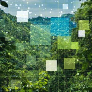 CUSTOM AI AND DATA-DRIVEN SUSTAINABILITY SOLUTIONS